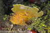 Lembeh Strait Divesites